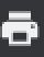 PDF print.png