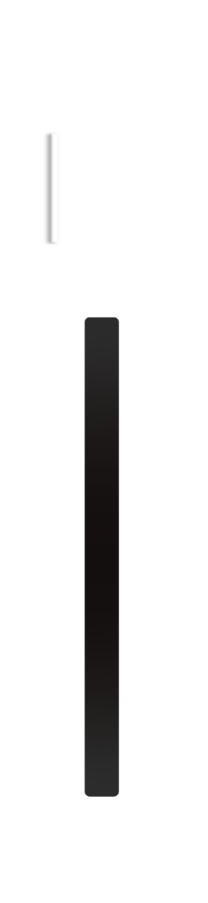 lateral-view-5.gif