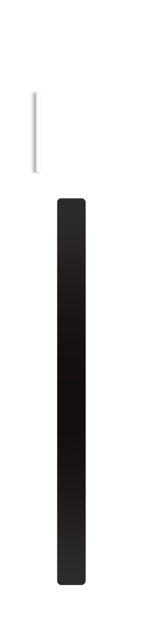 lateral-view.gif